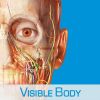 visible_body