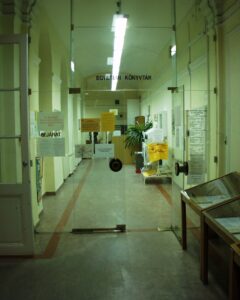 Az Egyetemi Könyvtár bejárata a Dugonics téren (2004)